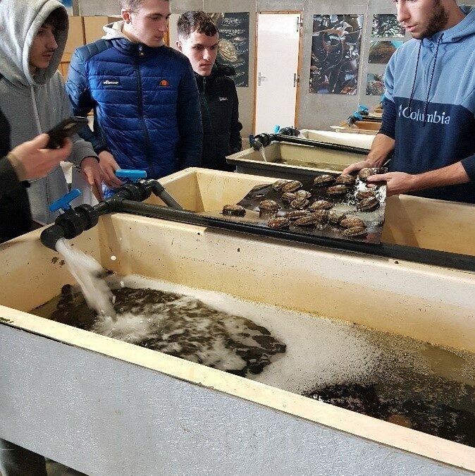 Voyage en « Pays Breton » pour les Term Aqua