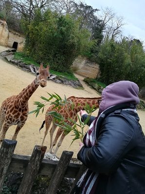 Sortie ALESA Zoo Bioparc Doué la Fontaine