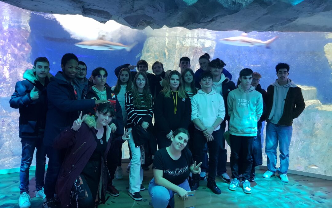 Visite de l’aquarium de St Malo