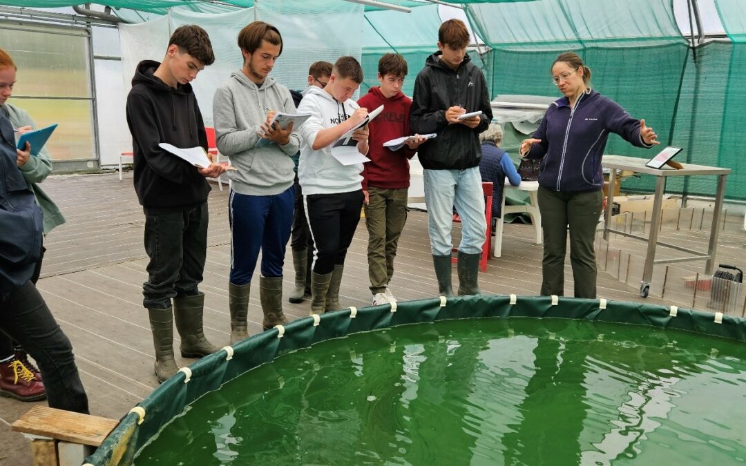 [Visite d’entreprise] Spiruline Angevine